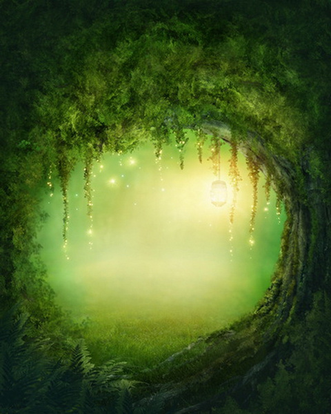 backdrop newborn baby children background fantasy forest back