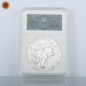 thumbnail - 1