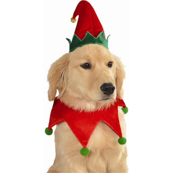 Dog 2025 elf hat