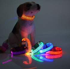 nylonnecklace, Dog Collar, fluorescence, Pets