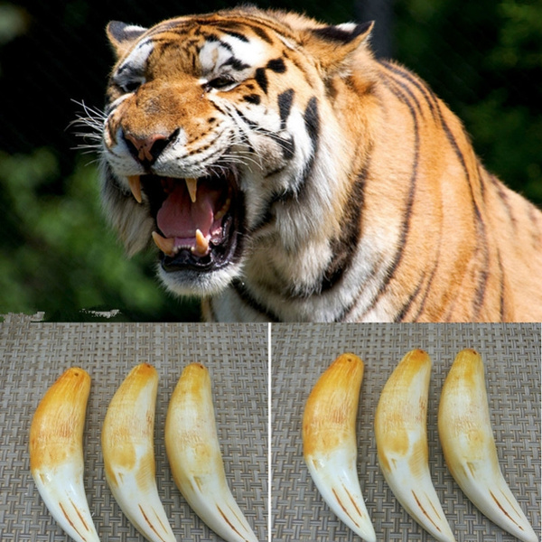 Real tiger tooth on sale pendant