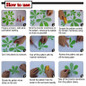 thumbnail - 2