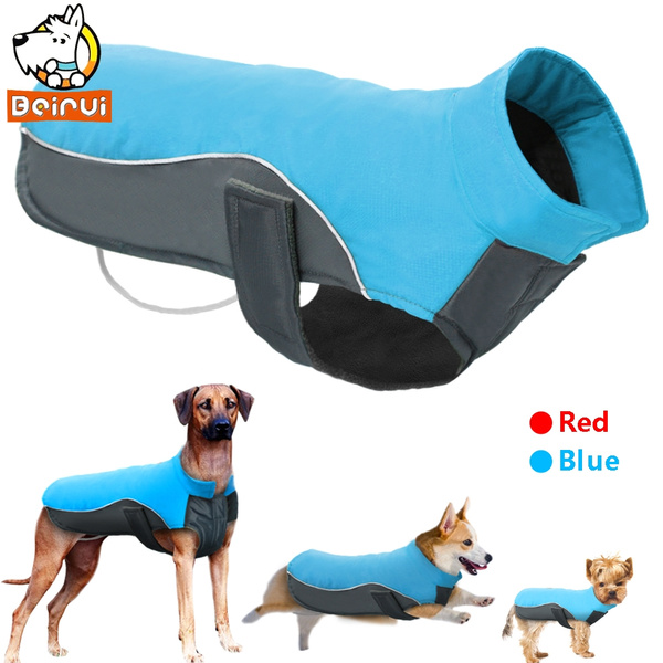 pitbull dog vest