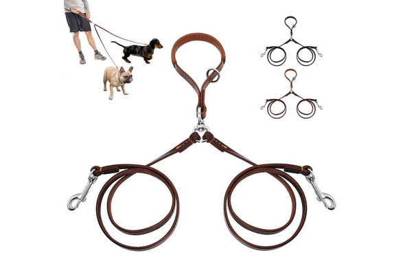 petsmart double leash