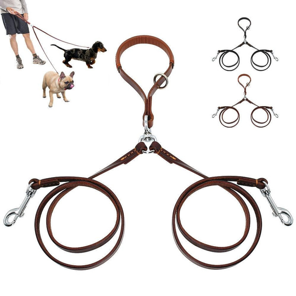 petsmart double leash