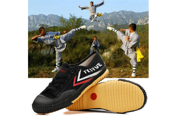 Feiyue Martial Arts Kung Fu Shoes White [Big Sizes]