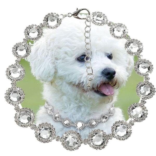 puppy diamond collars