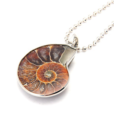 ammonite, Fashion, Natural, Jewelry