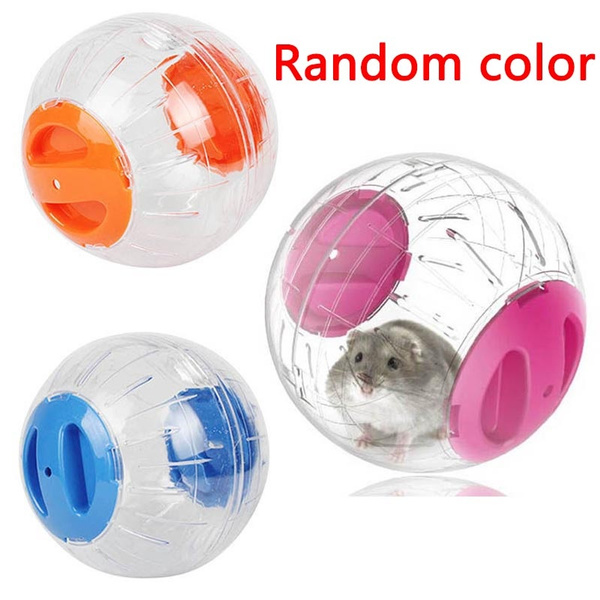 hamster plastic ball