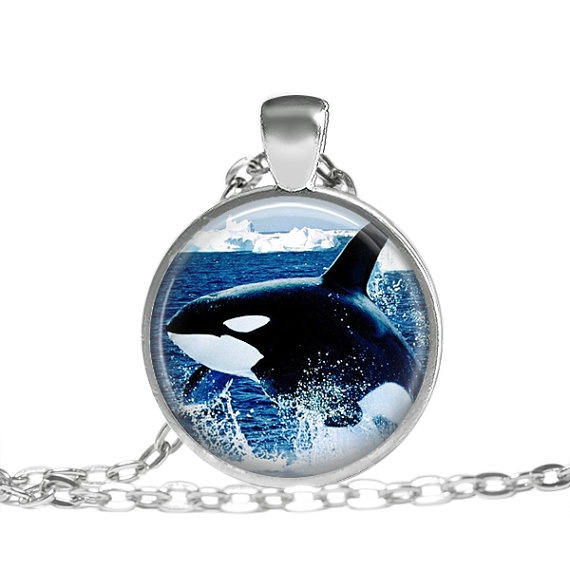 killer whale necklace