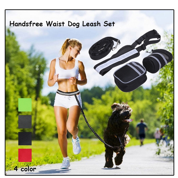 runners dog lead