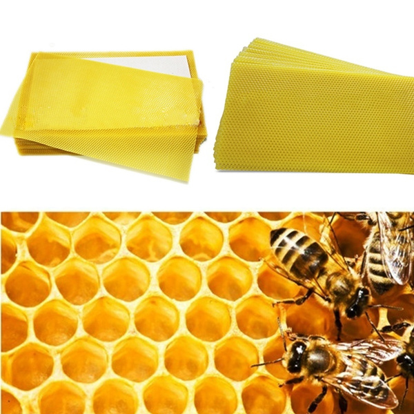 30x Honeycomb Foundation Beehive Wax Frames Waxing Beekeeping Equipment Bee 