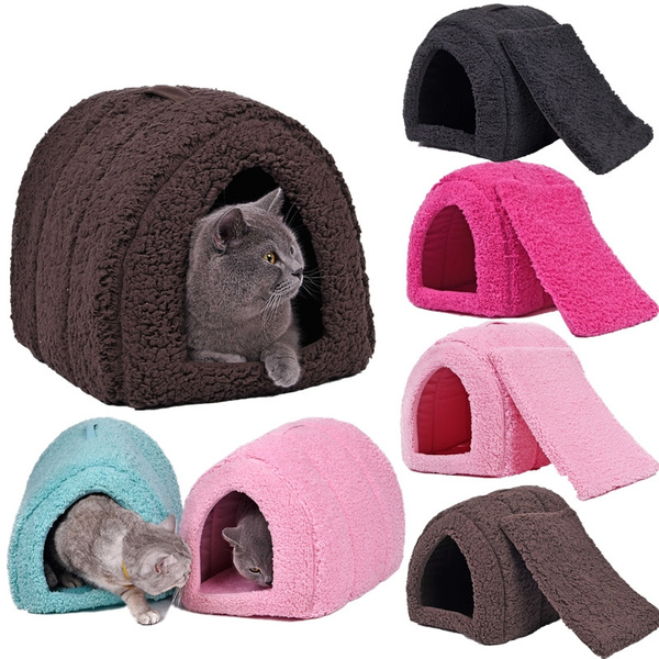 pet igloo cat