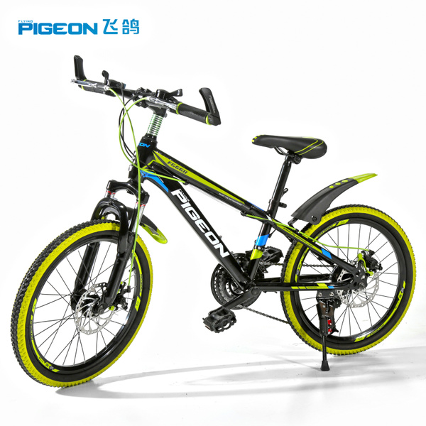 flying pigeon bike