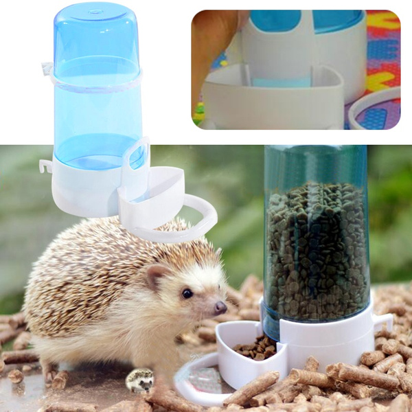 automatic hedgehog feeder
