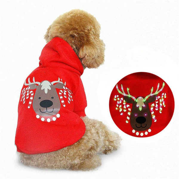 light up dog sweater