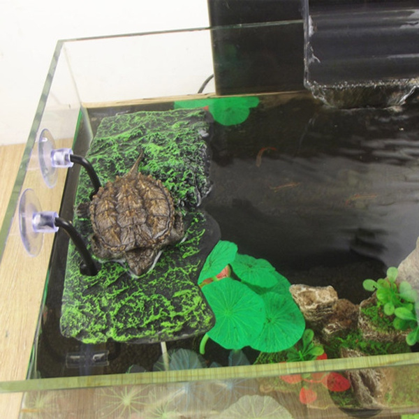 aquarium tank reptile turtle basking terrace floating island platform.dock·decJH 