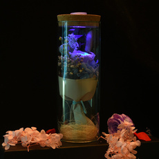 Decor, eternalflower, led, Home Decor