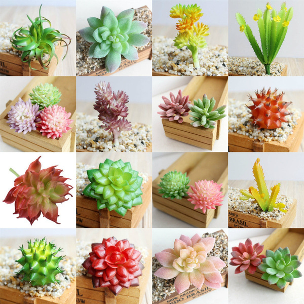 1Pc Artificial Succulents Plant Garden Miniature Fake Cactus DIY Home Floral  D¨¦cor