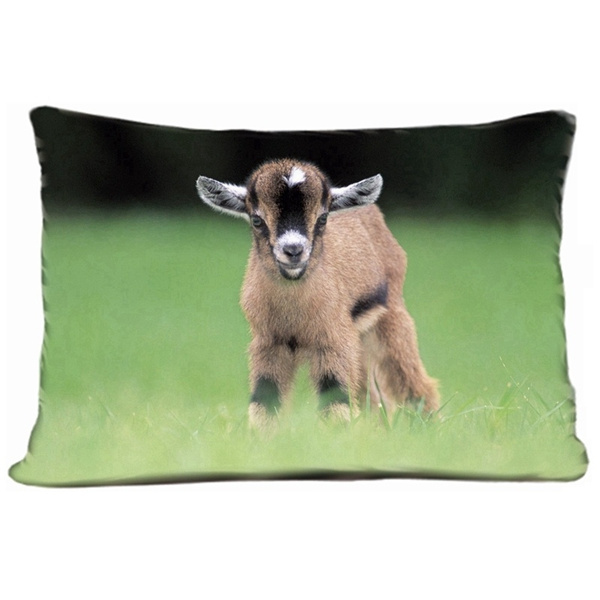 goat pillow case