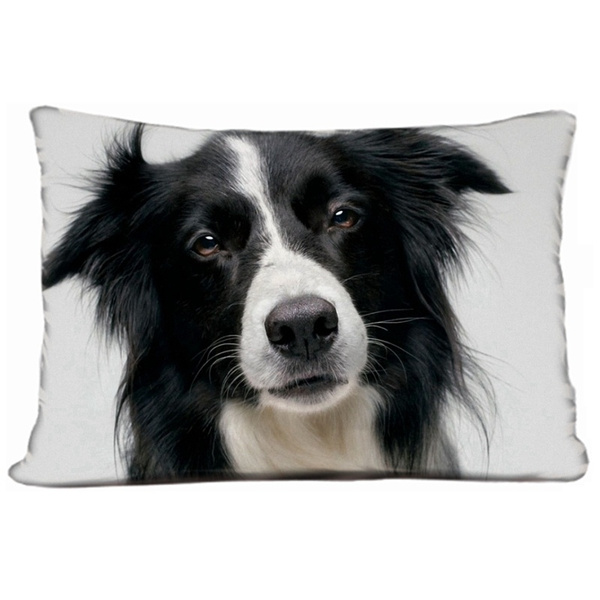 border collie pillow