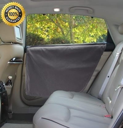 window protector for dogs