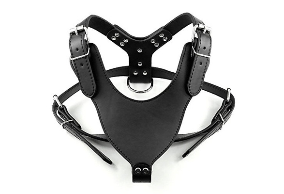 dog kingdom harness