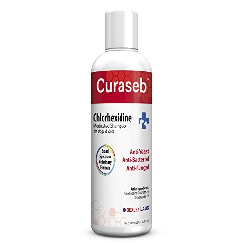 chlorhexidine cream for dogs