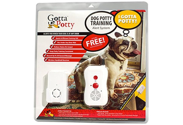 shock collar potty training