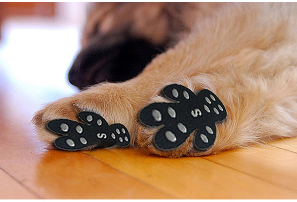 Paw pads self adhesive traction outlet pads