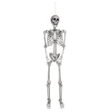decoration, Skeleton, Costumes & Accessories, halloweendecorationprop