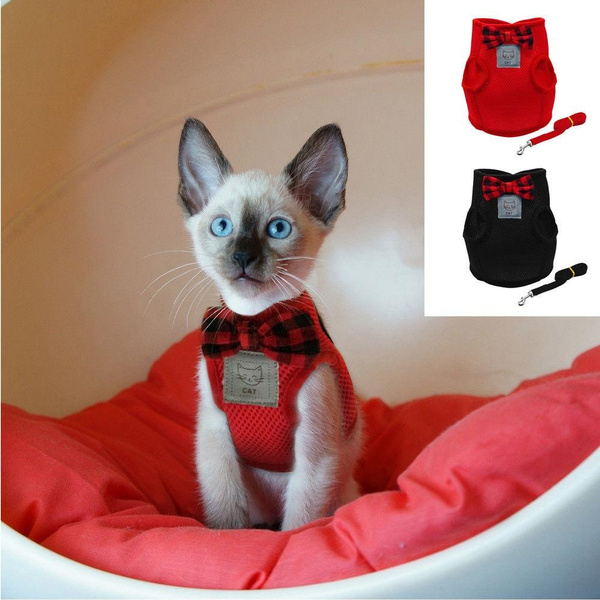 small cat harness