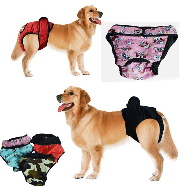 golden retriever diapers