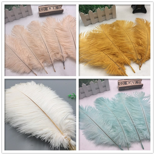 Beautiful 5 Pcs High Quality Natural Ostrich Feathers 10 12 Inch 25   5a13dca19a07bd17bf8b427a Large 