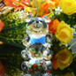 thumbnail - 5