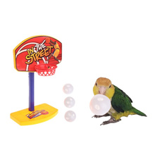 parakeettoy, Toy, petsupplier, Sports & Outdoors