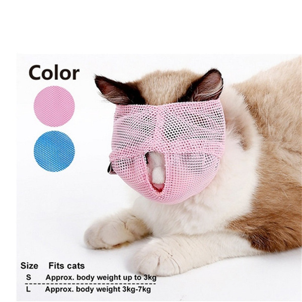 Cat sale muzzle wish