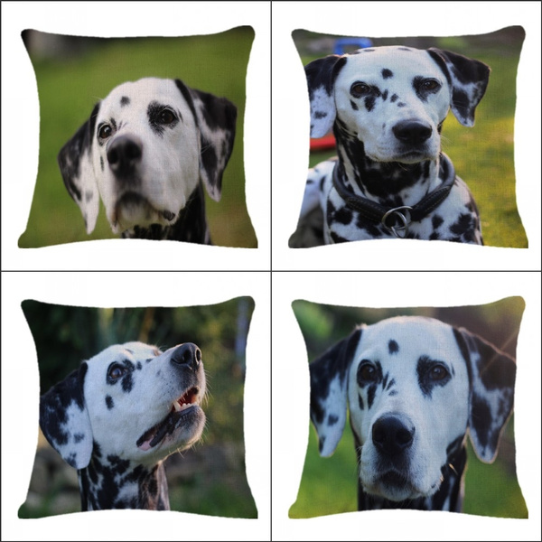 Clever and Cute Pet Dog Dalmatian Pattern Throw Pillow Cover Car Seat  Cushion Sofa Pillow Room Living Bedroom Cushion Cover (45 Cm * 45 Cm)