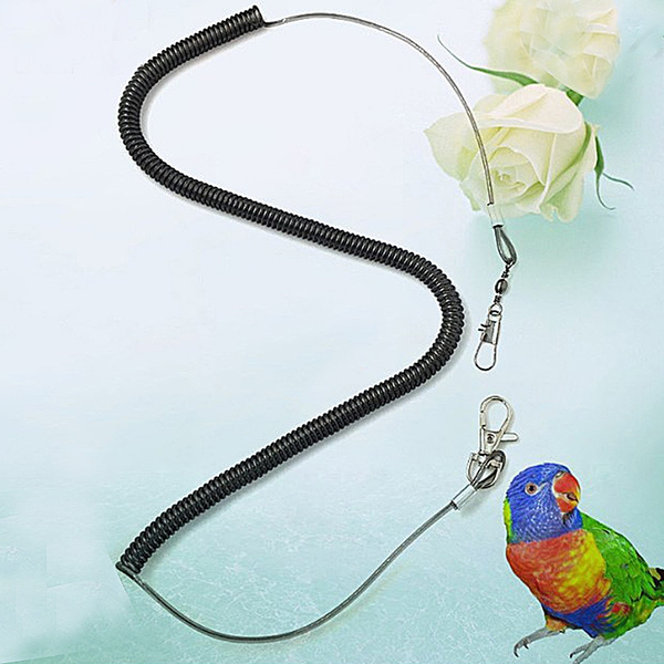 bird leash