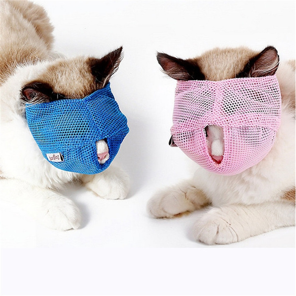 Cat sale muzzle wish