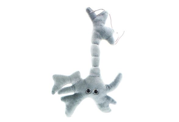 brain plush