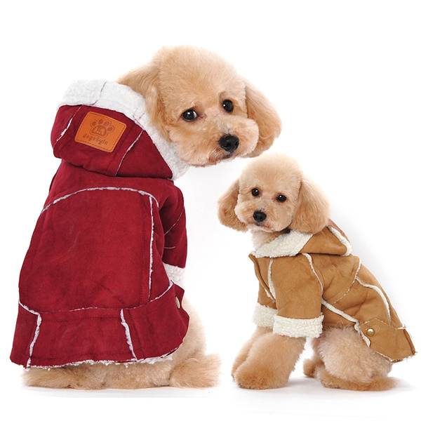 cute puppy outfits