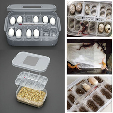tray, petcareproduct, reptileincubator, birdeggincubator