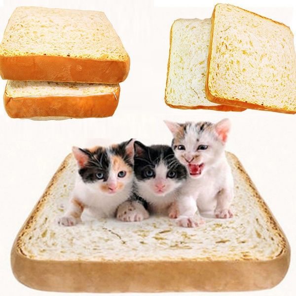 Slice of bread sales cat bed