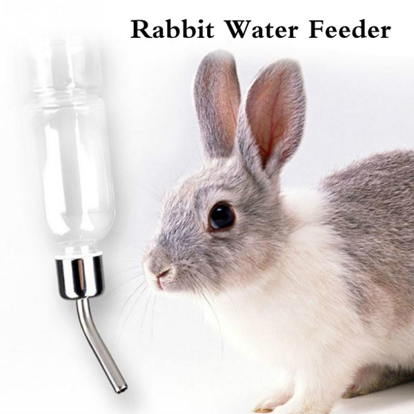 Large rabbit clearance water bottle