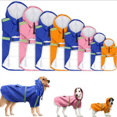 Medium, labrador, raincoat, Pets