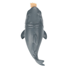 Funny, Shark, Toy, lights