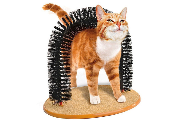 kitten scratcher