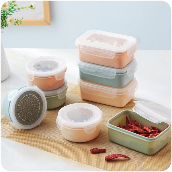 Mini Refrigerator Containers : Compact Lunch Boxes