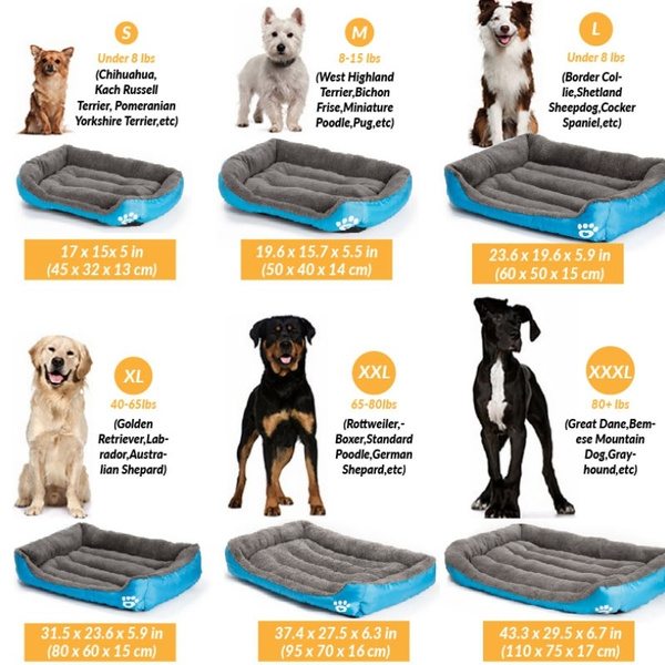 Pet bed shop sizes